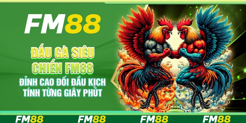 Đấu Gà Siêu Chiến FM88 – Đỉnh Cao Đối Đầu Kịch Tính Từng Giây Phút