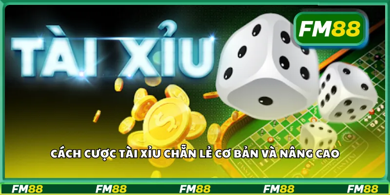 Cách cược tài xỉu chẵn lẻ cơ bản và nâng cao