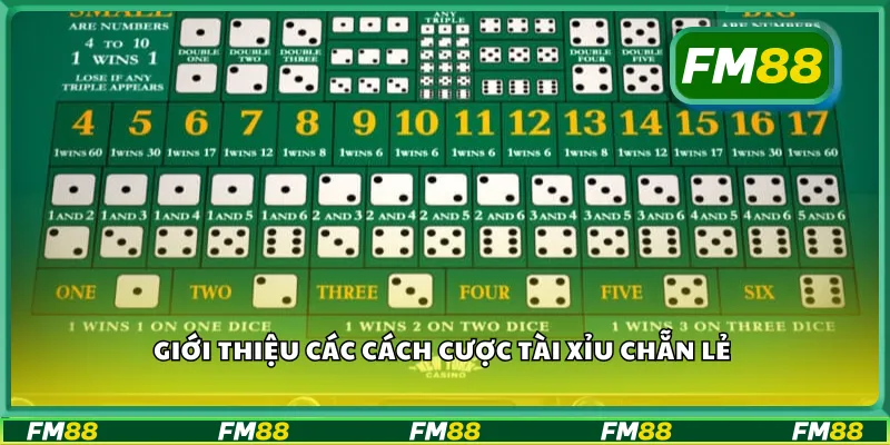 Giới thiệu các cách cược tài xỉu chẵn lẻ