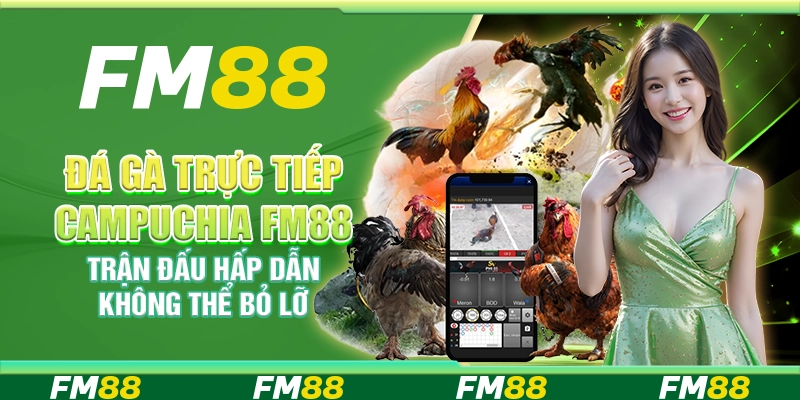 Đá gà trực tiếp Campuchia FM88 – Trận đấu hấp dẫn không thể bỏ lỡ