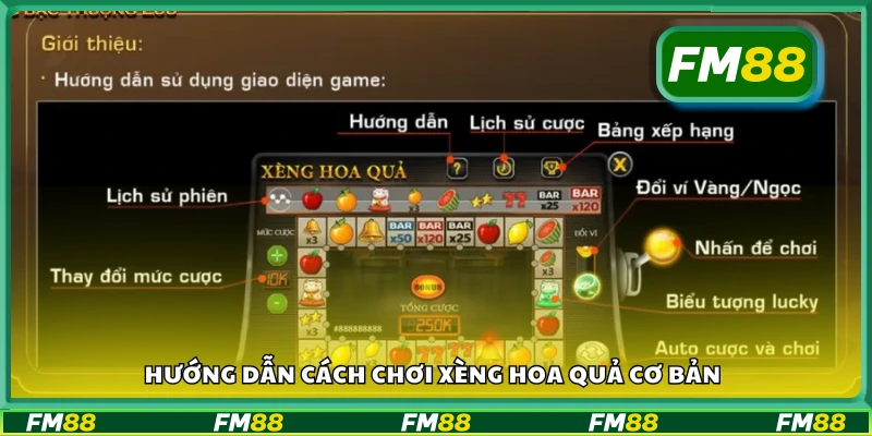Tìm hiểu cách chơi xèng hoa quả cơ bản