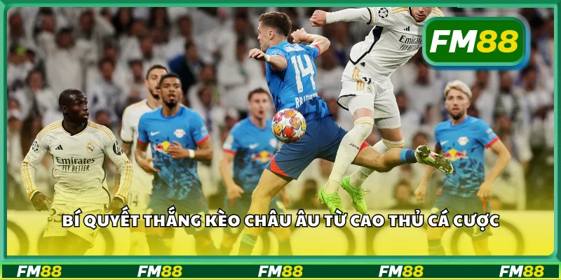 Bí quyết thắng kèo châu Âu từ cao thủ cá cược