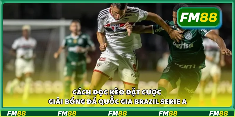 Cách đọc kèo đặt cược giải bóng đá quốc gia Brazil Serie A