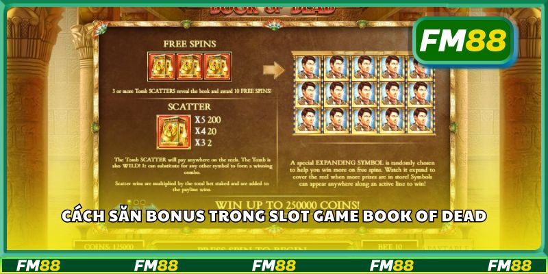 Cách săn bonus trong slot game Book of Dead