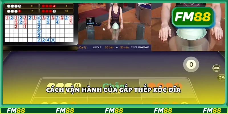 Cách vận hành của gấp thếp xóc đĩa