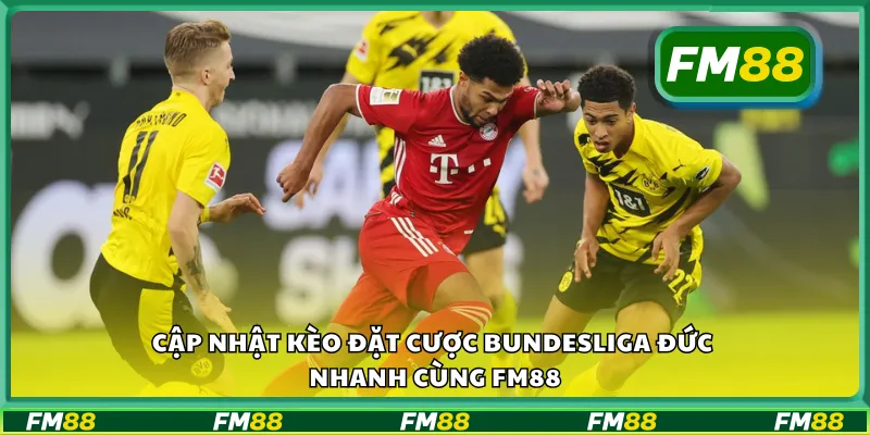 Cập nhật kèo đặt cược Bundesliga Đức nhanh cùng FM88