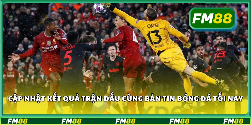 Cập nhật kết quả trận đấu cùng bản tin bóng đá tối nay