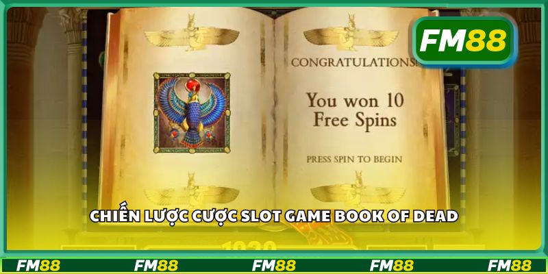 Chiến lược cược slot game Book of Dead