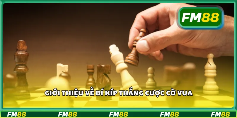 Giới thiệu về bí kíp thắng cược cờ vua
