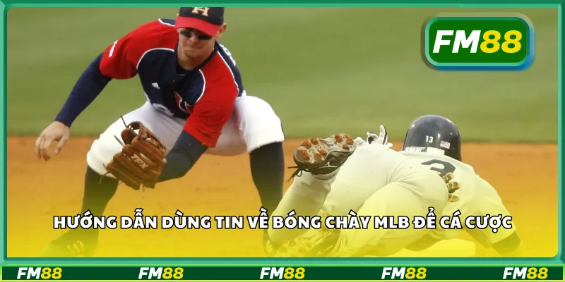 Hướng dẫn dùng tin về bóng chày MLB để cá cược