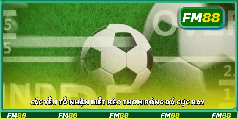 Dấu hiệu để nhận diện một kèo thơm chuẩn xác