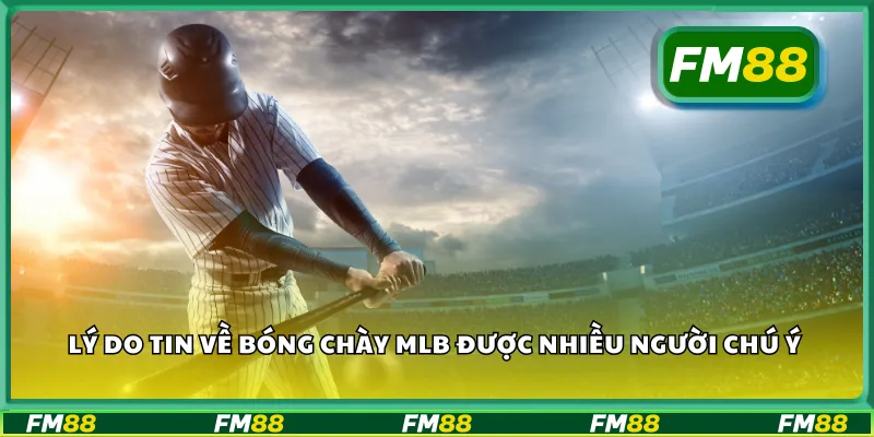 Lý do tin về bóng chày MLB được nhiều người chú ý