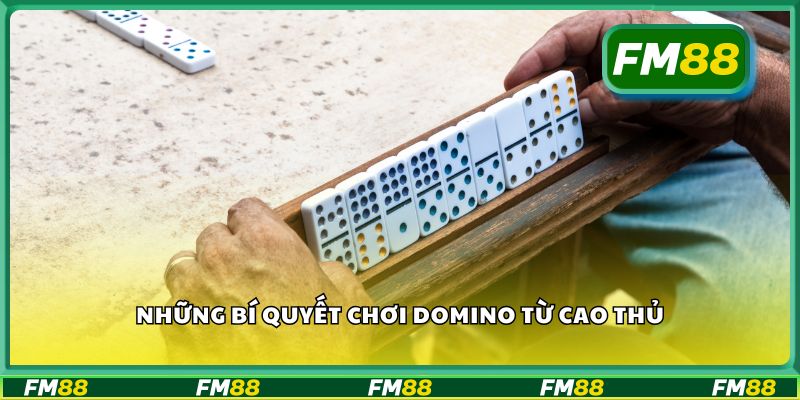 Những bí quyết chơi domino từ cao thủ