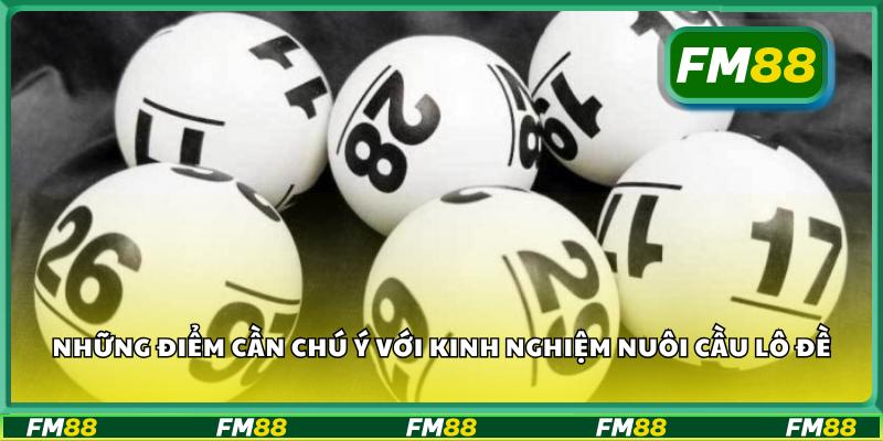 Những điểm cần chú ý với kinh nghiệm nuôi cầu lô đề