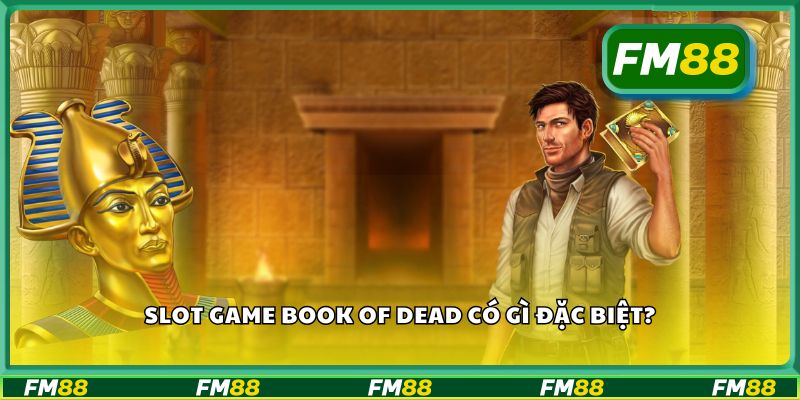 Slot game Book of Dead có gì đặc biệt?
