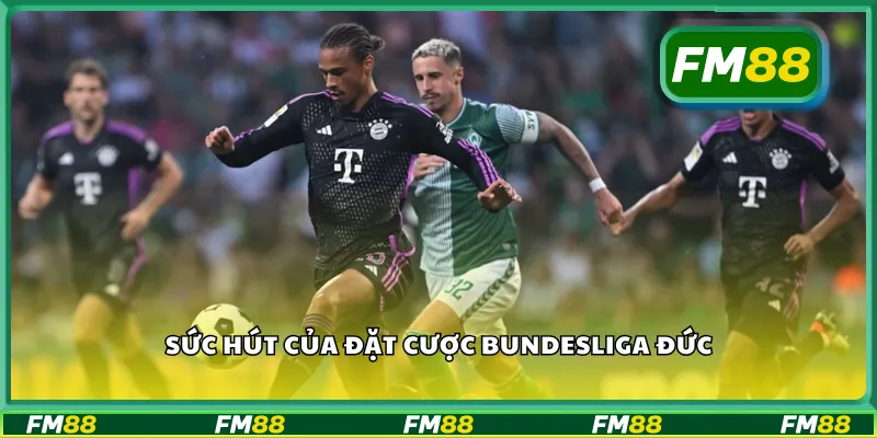 Sức hút của đặt cược Bundesliga Đức