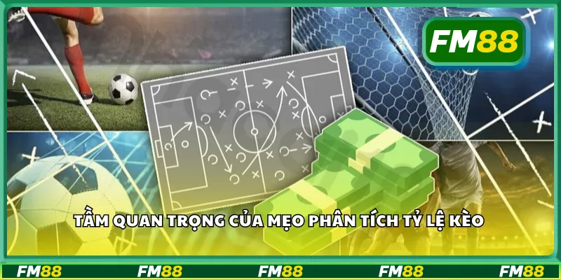 Tầm quan trọng của mẹo phân tích tỷ lệ kèo