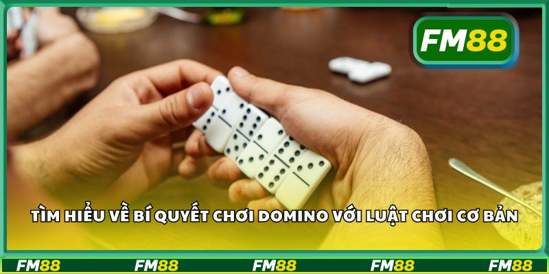 Tìm hiểu về bí quyết chơi domino với luật chơi cơ bản