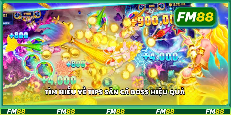 Tìm hiểu về tips săn cá boss hiệu quả