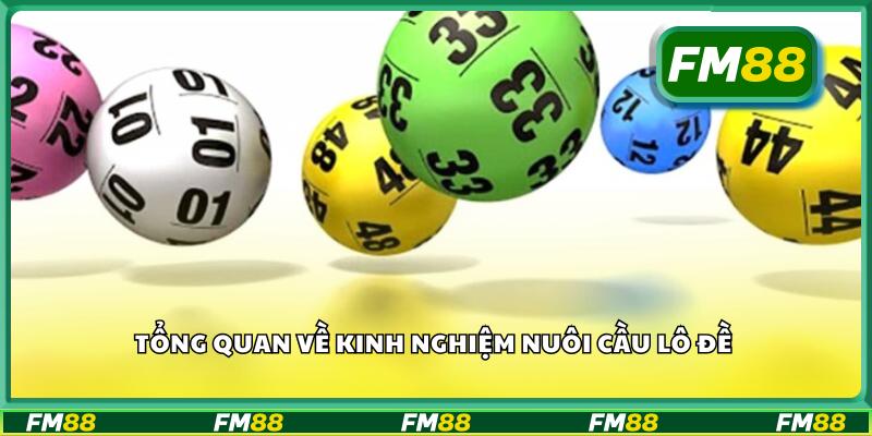 Tổng quan về kinh nghiệm nuôi cầu lô đề