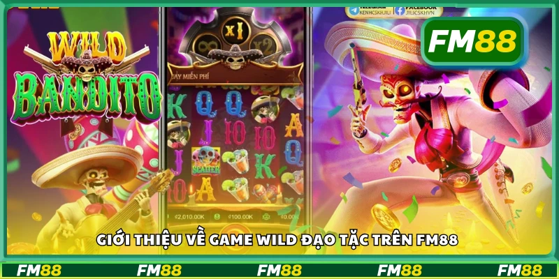 Vài nét về Wild Đạo Tặc FM88