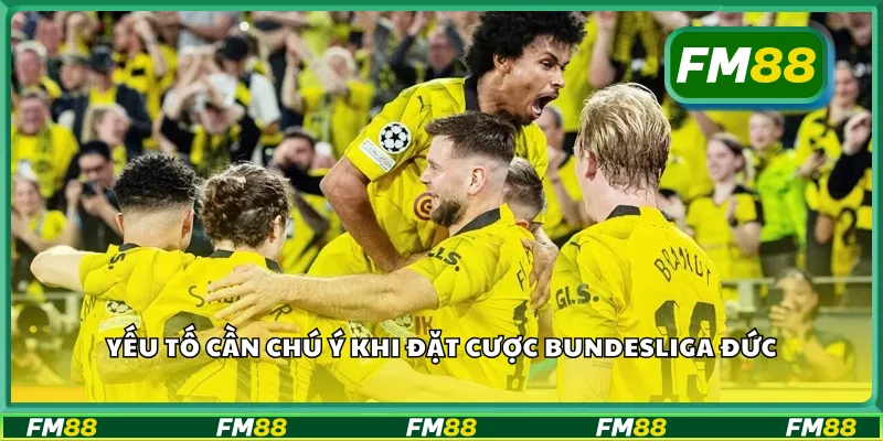 Yếu tố cần chú ý khi đặt cược Bundesliga Đức