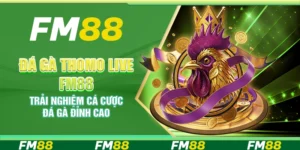 Đá gà Thomo Live FM88 – Trận đấu gay cấn trực tiếp mỗi ngày