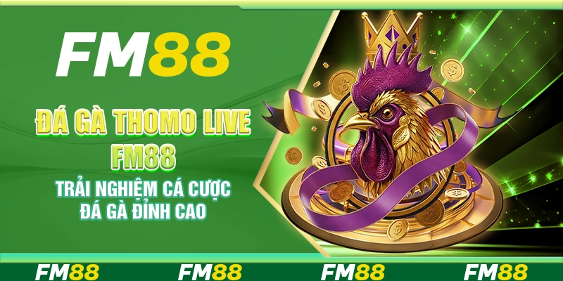 Đá gà Thomo Live FM88 – Trận đấu gay cấn trực tiếp mỗi ngày
