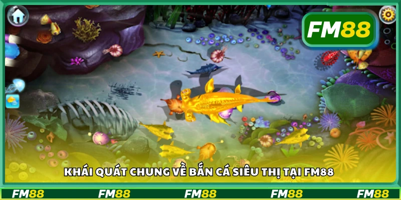 Bao quát chung về bắn cá Siêu Thị tại FM88