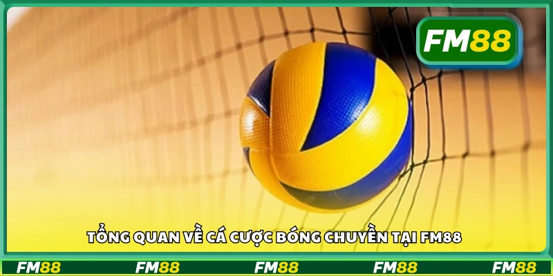 Tổng quan về cá cược bóng chuyền tại FM88