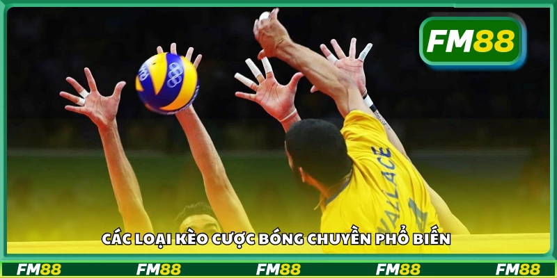 Một số loại kèo cược bóng chuyền phổ biến