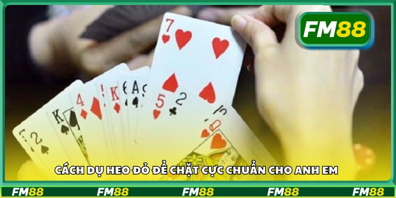 Cách dụ heo đỏ để chặt cực chuẩn cho anh em