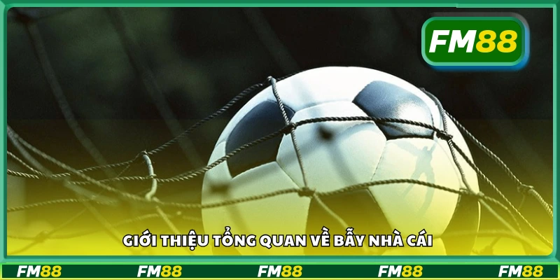 Tìm hiểu tổng quan về bẫy nhà cái